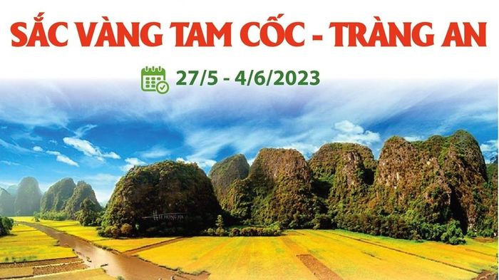 Tuần du lịch Ninh Bình năm 2023: Sắc vàng Tam Cốc - Tràng An